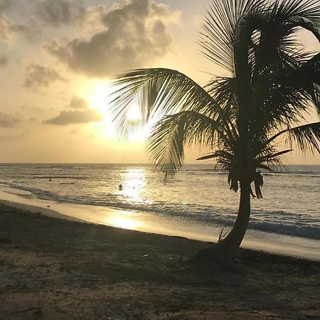 Studio Tahiti Vue Mer Saint-Francois  Extérieur photo