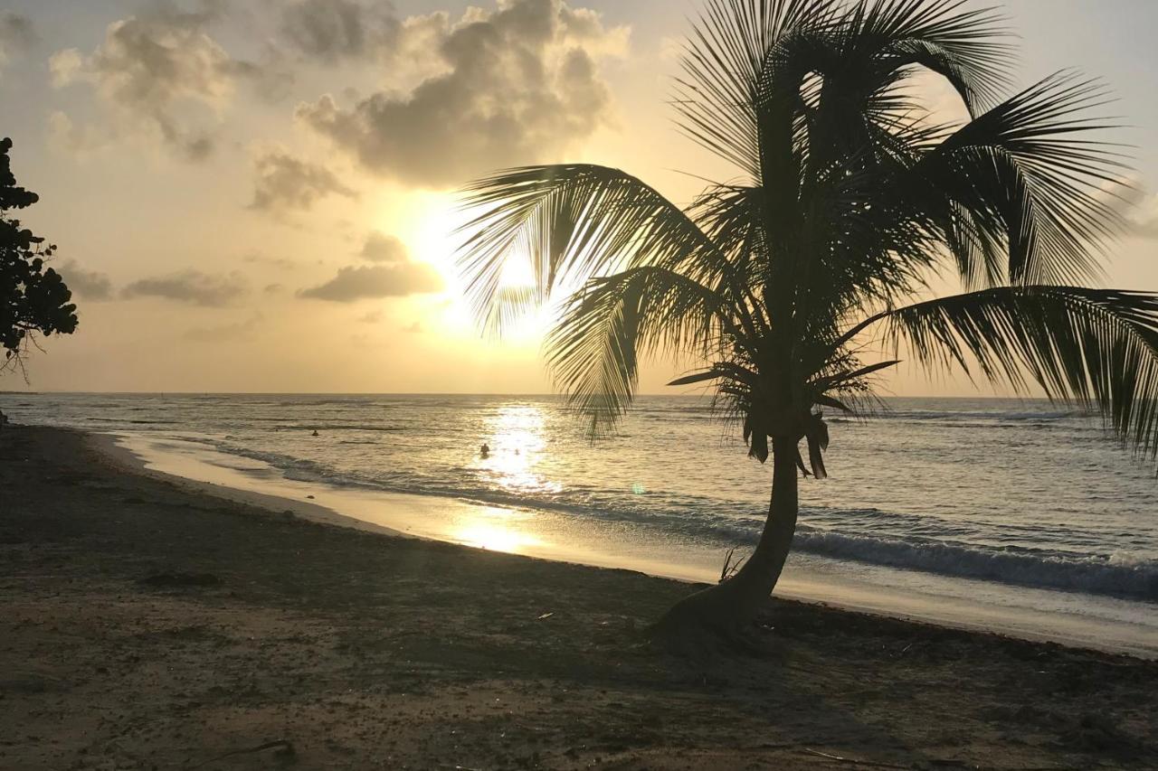 Studio Tahiti Vue Mer Saint-Francois  Extérieur photo